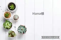 Hana様♡ヘアゴム