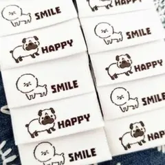 ビションフリーゼ 生地