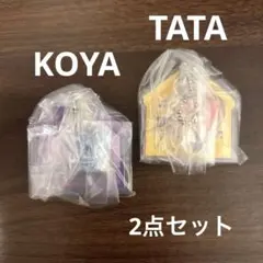BT21 パッケージチャーム KOYA & TATA 2点セット