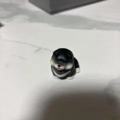 黒柴 カプセルトイ