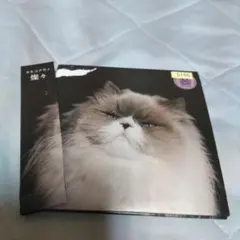 カネコアヤノ 燦々 CD レンタル版