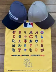 福岡ソフトバンクホークスキャップ2個＆ラリー タオルセット