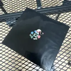 Item thumbnail for item a945db17-6975-43f9-8cb2-3f22294d81c6