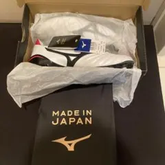 Item thumbnail for item 1dc97303-49b6-472e-9d0f-d6777d4eb4c5