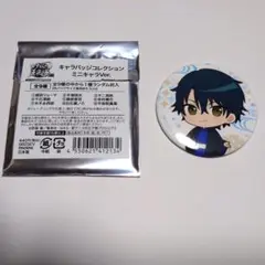 【即購入可】新テニスの王子様　越前リョーマ　缶バッジ