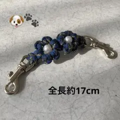 Item thumbnail for item 79b344e9-a07a-4a8f-977c-e1311c3584e7