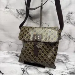 (美品)大人気、ゲラルディーニ、ショルダーバック、ソフティー、人気色、茶、高級のサムネイル