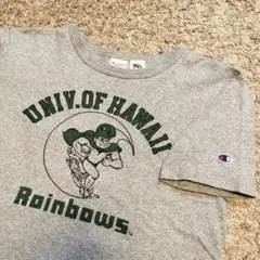 Champion T1011 Tシャツ 染み込み USA製