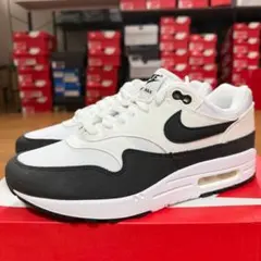 NIKE エアマックス1 DZ2628-102 新品　27.0のサムネイル