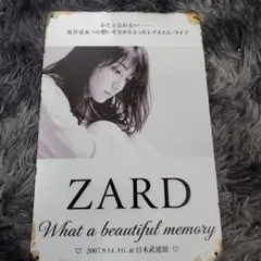ZARD　坂井泉水　ブリキ看板 30×20