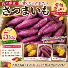 Sサイズ以下】茨城県産紅はるか 早掘り 甘さ控えめ B品 5kg 水洗い