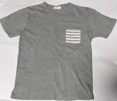 BACK NUMBER グレー Tシャツ M サイズ