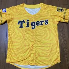 Item thumbnail for item c6741aa9-0f49-44f0-8d7e-166173369516