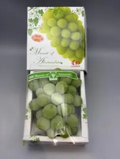 岡山県産 マスカット・オブ・アレキサンドリア（600g1房） 化粧箱入りのサムネイル