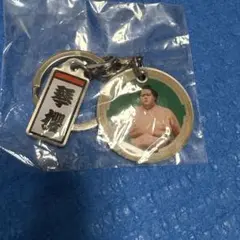 大相撲ガチャ ダブルメタルチャームキーホルダー 琴櫻