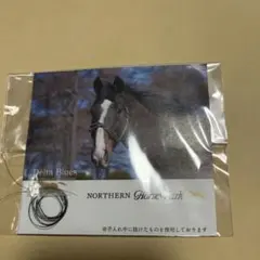 2026年最新】ノーザンホースパーク たてがみの人気アイテム - メルカリ