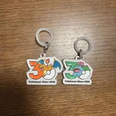 ポケモン 30周年 メタルチャーム リザードン フシギバナ