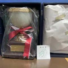 STARDAM トロフィー CDと岩谷麻優選手カード付き STARDAM トロフィー CDと岩谷麻優選手カード付き - メルカリ