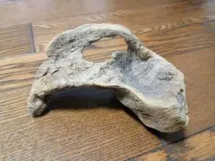 流木 インテリア 置物