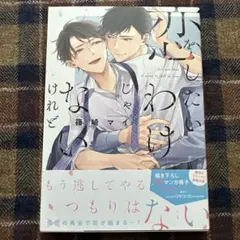 33様 リクエスト 2点 まとめ商品