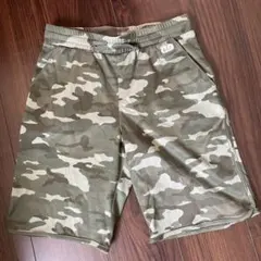 Item thumbnail for item 18fa2cca-9b7a-4447-b45e-197411e8a80a