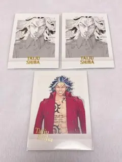 東京リベンジャーズ　原画展　ぱしゃこれ　大寿　セット