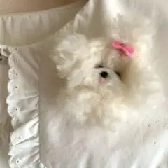 Item thumbnail for item 004c9868-96b3-4194-88b3-c77f05569905