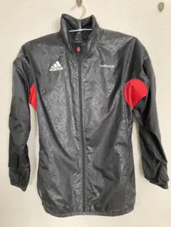 Item thumbnail for item 8073730d-5c3a-471b-9644-be24f4af8ba1