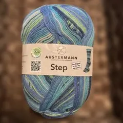 ⭐︎1199 AUSTERMANN Step 海外ソックヤーン　中細　ドイツ製