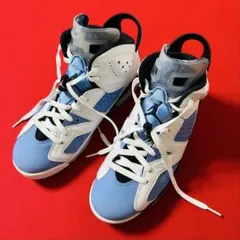 ナイキ エアジョーダン 6 