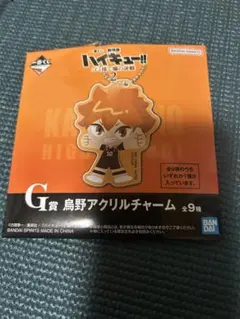 ハイキュー!! 烏野高校アクリルチャーム 5個セット