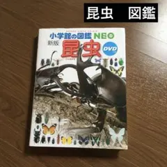 【新版】小学生の図鑑NEO 昆虫　小学生　夏休み　自由研究