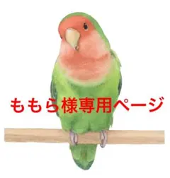 ももら様専用ページ