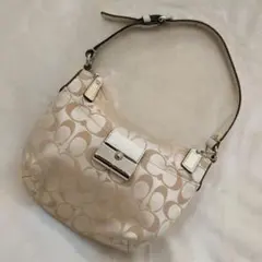 COACH アクセサリーポーチ シグネチャー ワンショルダー