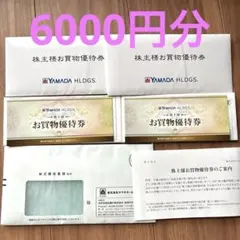ヤマダ電機 株主優待券 12枚 6000円分