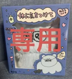 さ様専用　チェゴシム