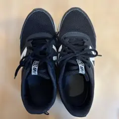 Item thumbnail for item 188358af-ced8-4269-82a1-bf47ccf30d69