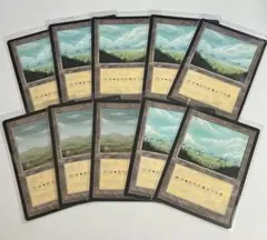 MTG FBB 平地 4版 黒枠 中国語版 10枚セットのサムネイル