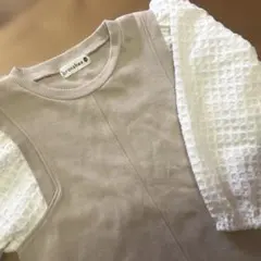 Item thumbnail for item 828f8934-8f2f-41f4-b29e-26a7d5143c5c