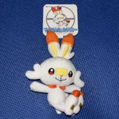 ポケモン マスコット ヒバニー