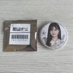 Item thumbnail for item 536d2123-494c-46b8-8012-acaa43574f73