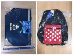 新品 ミッキー・ミニーマウス ディズニー リュック＆サーモス 保冷バック 17L