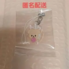 straykids ペンミ 3月29日 入場特典 パピーム キーリング