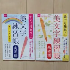 ボールペン字 ペン習字 美文字 美しい文字 美文字練習帳 2冊セット