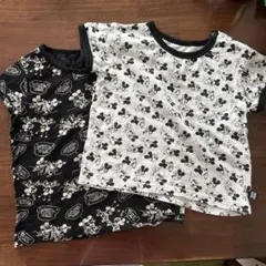 Item thumbnail for item 22b20ba3-c0ff-42d4-9873-aa049179a00d