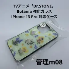 アニメ「Dr.STONE」 強化ガラスiPhone 13 Pro対応ケース