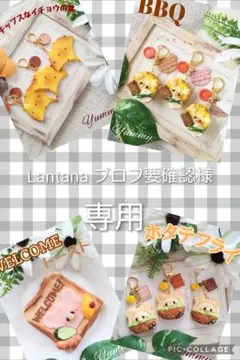 Lantana プロフ要確認　様　専用