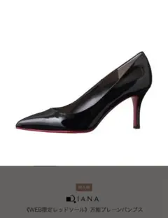 美品　DIANA 黒 ハイヒール WEB限定レッドソール　プレーンパンプス