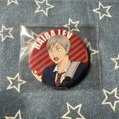 ハイキュー!! ゴミ捨て場の決戦　書き下ろしキャラバッジコレクション灰羽リエーフ