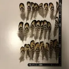 maru様 リクエスト 3点 まとめ商品